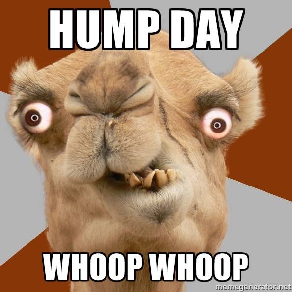 hump-day-whoop-whoop.jpg