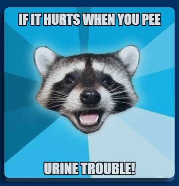 Hurts to pee.JPG