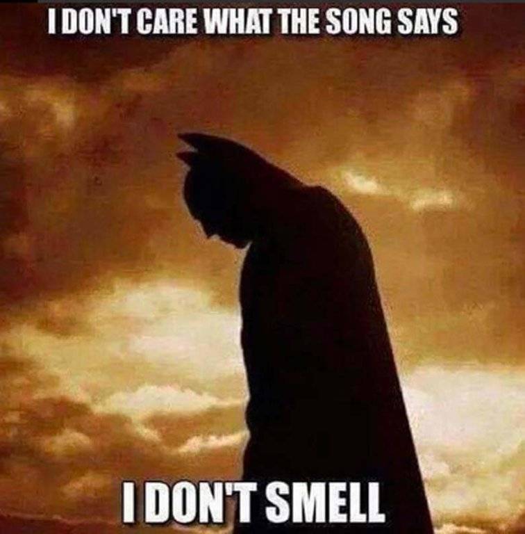 I-dont-care-what-the-song-says-I-dont-smell.jpg