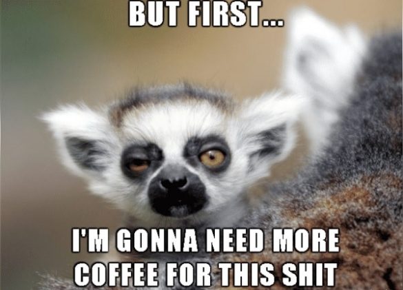 I-need-coffee-meme-22-585x421.jpg