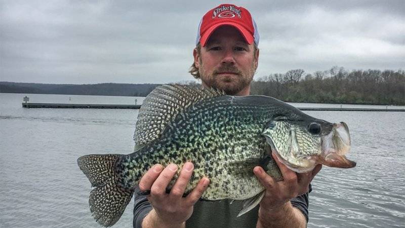 illinois-record-crappie-3-862x485.jpg