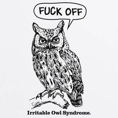 Irritatable Owl.jpg