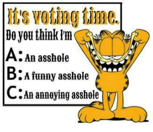 its-voting-time-boyoutink-a-an-asshole-b-a-funny-asshole-c-an-27324602.png