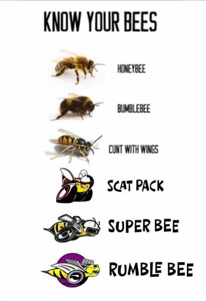 Kow your bees 2.jpg