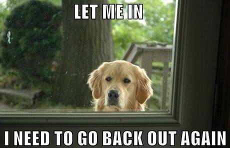 Let me in.jpg