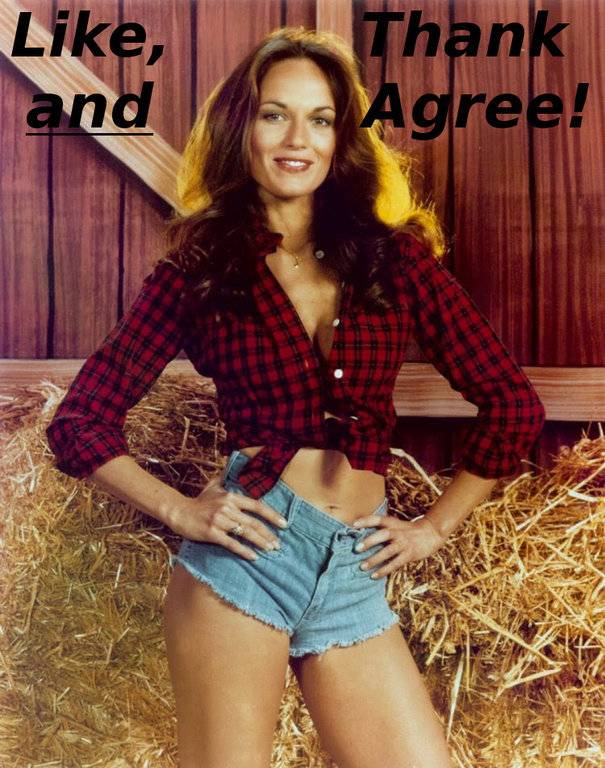 Like_Thank_Agree_Daisy_Duke.jpg