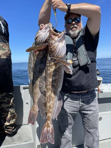 LingCod.jpeg