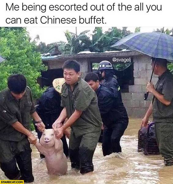 me-being-escorted-out-of-the-all-you-can-eat-chinese-buffet-fat-pig.jpg