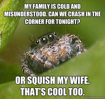 misunderstood-spider-4.jpg