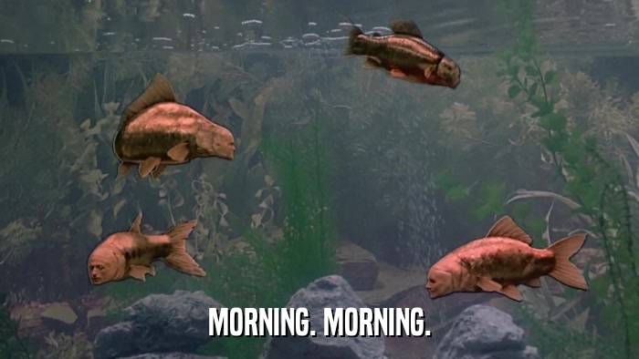 MontyPython morning fish.jpg