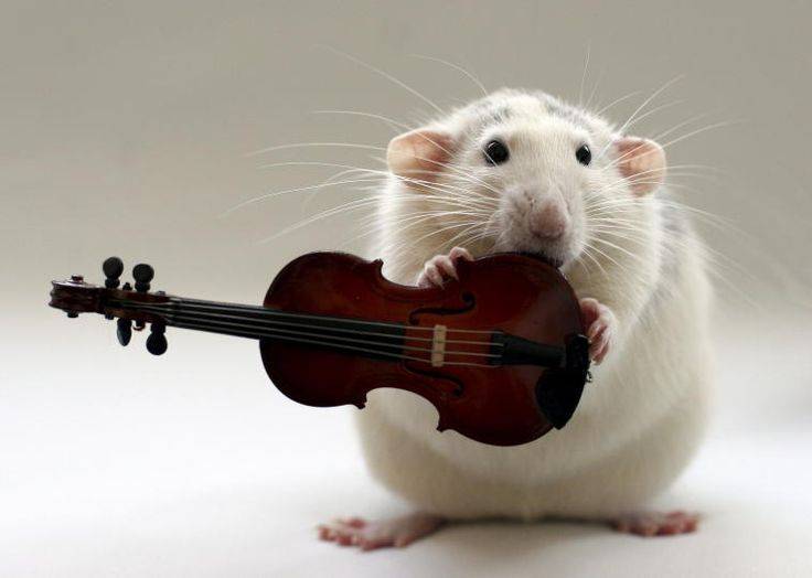 mousetinyviolin.jpg