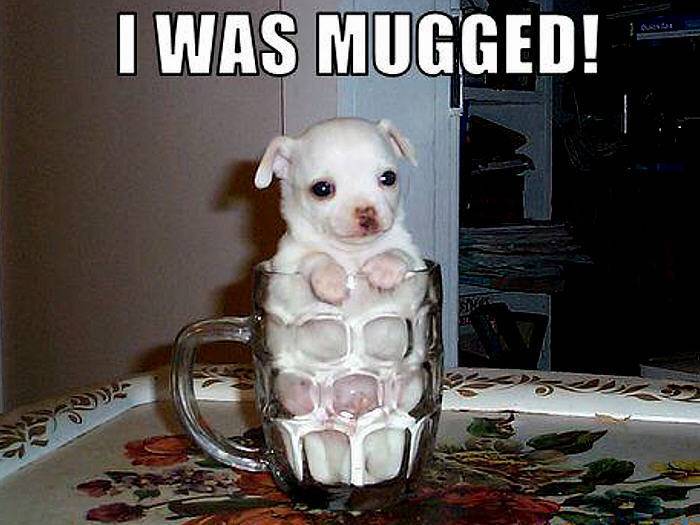 Mugged.jpg