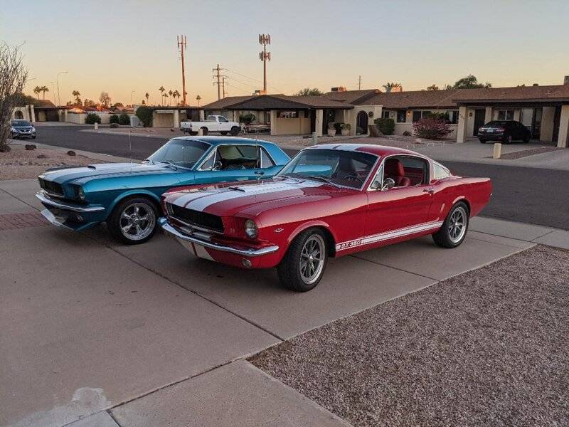 mustangs at Grandma's (Large).jpg