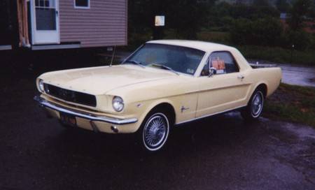 mustangwithabed_01_resized.jpg