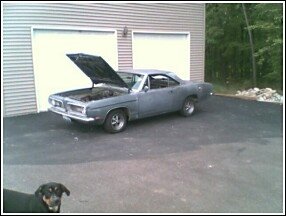 my cuda1.jpg