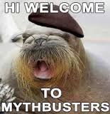 Mythbusters.jpg