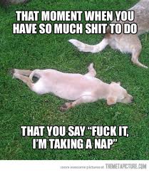 Nap 02.jpg