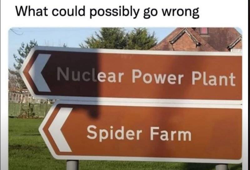 Nuclear Spiders A01.JPG