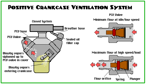 PCV.gif