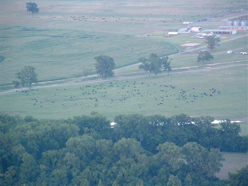 petit Jean 09 277.jpg