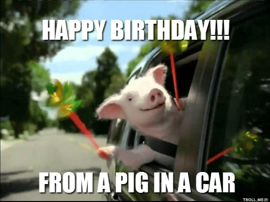 pigbday.png