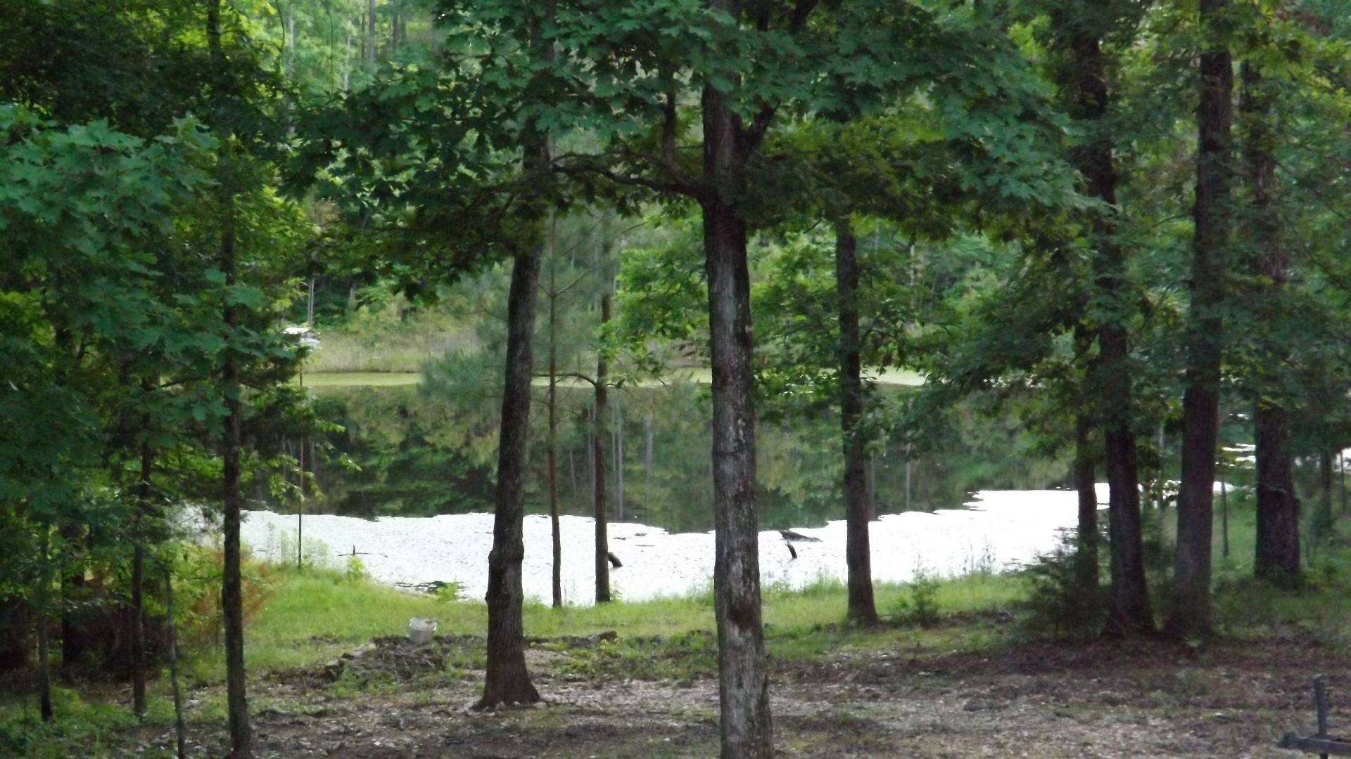 Pond from Deck.jpg