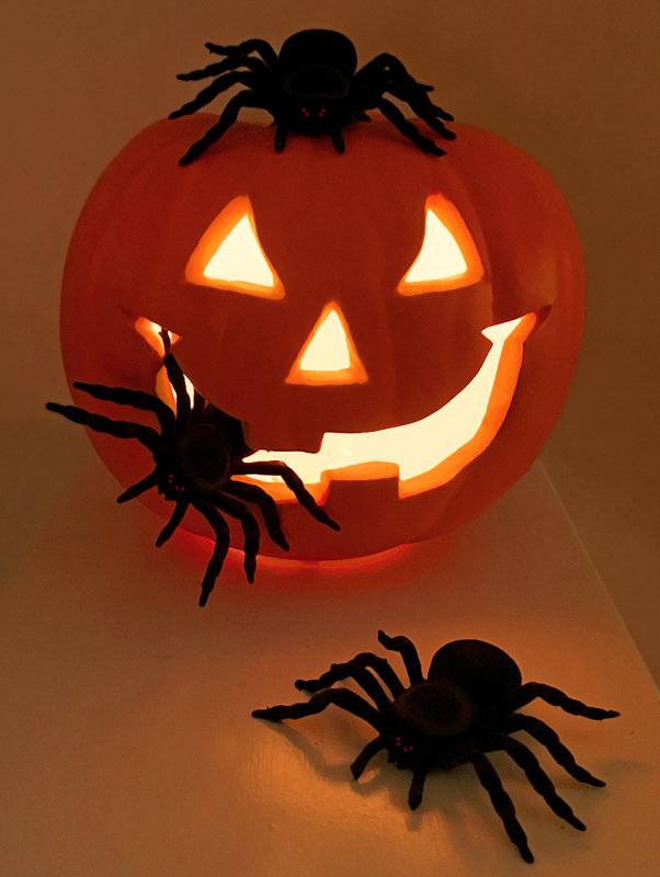 Pumpkin Spiders 2.jpg