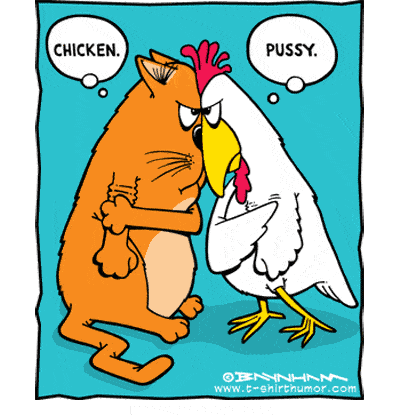 pussy-chicken.gif