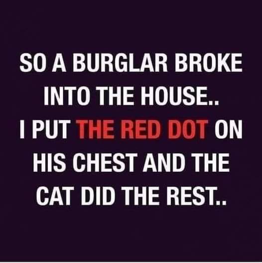 red dot and cat.jpg
