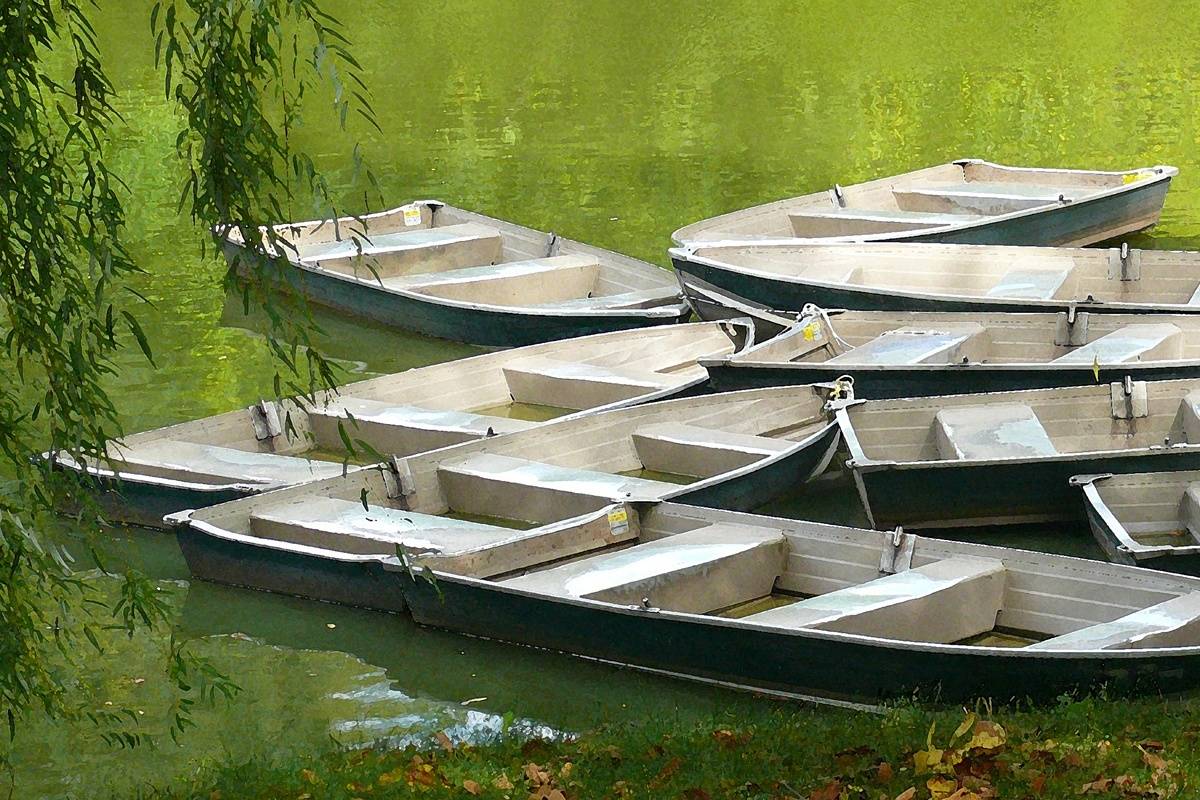 Rowboats 1 small.jpg