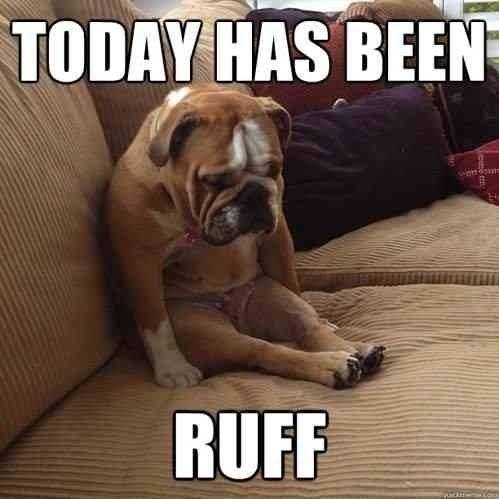 Ruff Day.jpeg