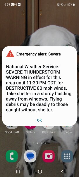 Screenshot_20230729_065825_Wireless emergency alerts.jpg