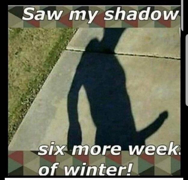 Shadow Ground hog.jpg