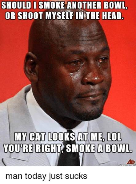 should-i-smoke-another-bowl-or-shoot-myself-in-the-19426831.png