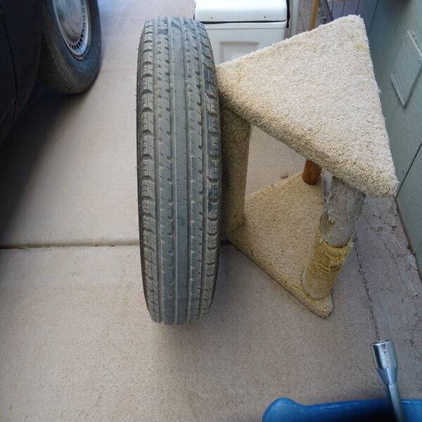 Skinny tire.jpg