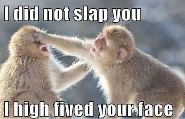 Slap you.jpg