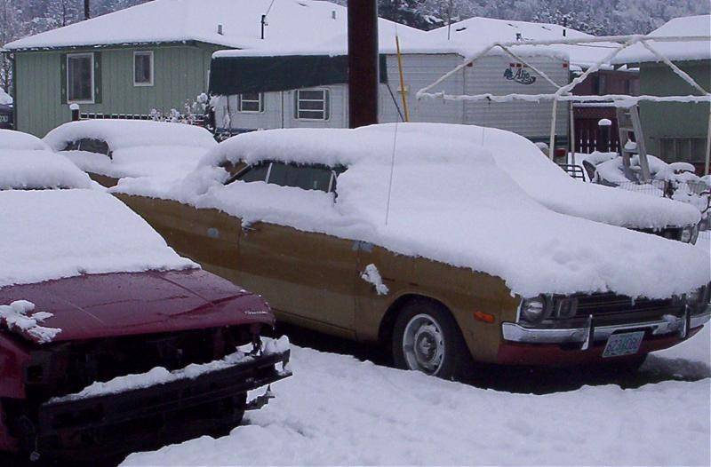 snow 2 006.jpg