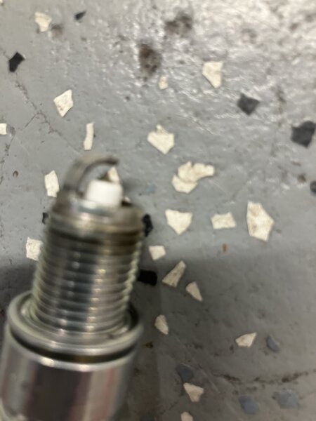 sparkplug1.jpg