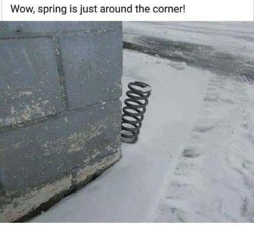 spring-jpg.jpg