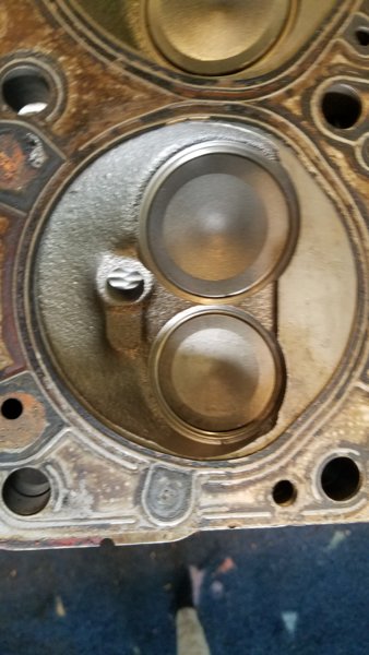 stock head gasket on 920.jpg