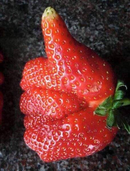 Strawberry Thumbs Up.jpg