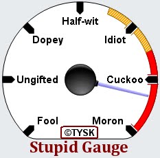 Stupid Gauge.jpeg