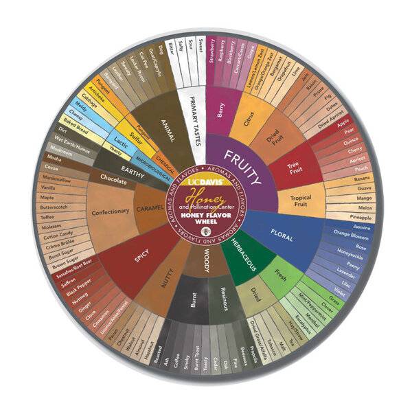 tasting wheel2.jpg