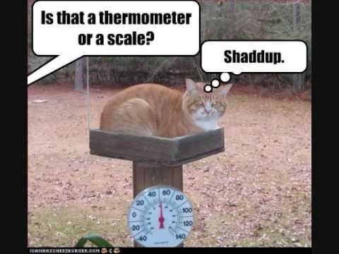 Thermometer.jpg