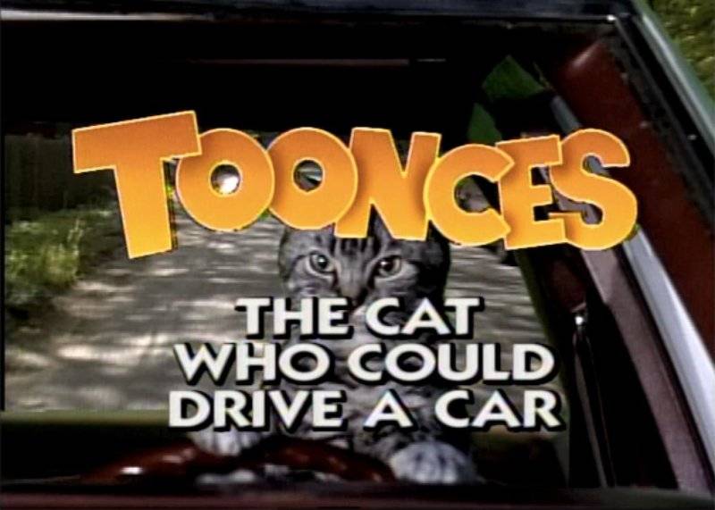 toonces.jpg.CROP.promo-xlarge2.jpg