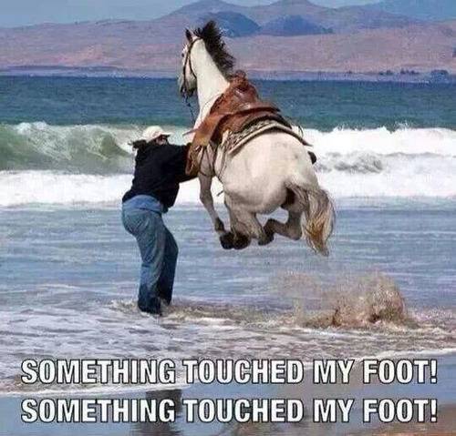 touch my Foot.jpg