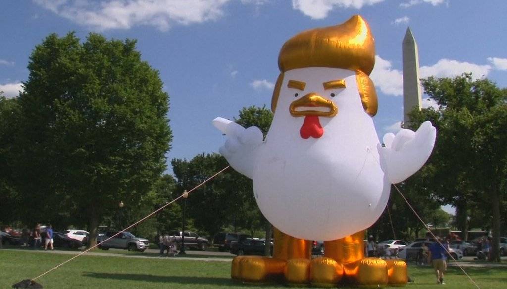 Trump Chicken.jpg