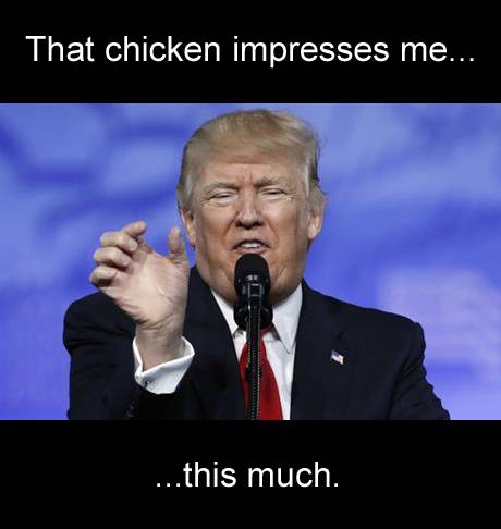 Trump chicken.jpg