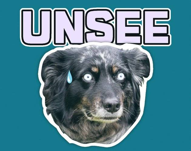 Unsee Doggie.jpg