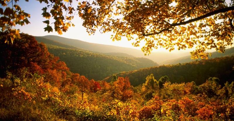 virginia-shenandoah-national-park-1-P.jpe